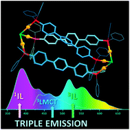 Graphical abstract: Polynuclear cage-like Au(i) phosphane complexes based on a S2− template: observation of multiple luminescence in coordinated polyaromatic systems