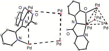 Graphical abstract: Pincer-plus-one ligands in self-assembly with palladium(ii): a molecular square and a molecular tetrahedron