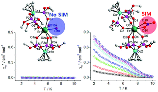 Graphical abstract: Slow relaxation dynamics of a mononuclear Er(iii) complex surrounded by a ligand environment with anisotropic charge density