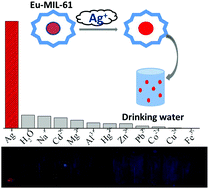 Graphical abstract: A reliable amplified fluorescence-enhanced chemosensor (Eu-MIL-61) for the directional detection of Ag+ in an aqueous solution
