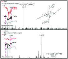 Graphical abstract: The coordination structure of the extracted nickel(ii) complex with a synergistic mixture containing dinonylnaphthalene sulfonic acid and 2-ethylhexyl 4-pyridinecarboxylate ester