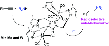 Graphical abstract: The pyrrole ring η2-hapticity bridged binuclear tricarbonyl Mo(0) and W(0) complexes: catalysis of regioselective hydroamination reactions and DFT calculations