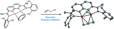 Graphical abstract: Dinuclear oxidative addition reactions using an isostructural series of Ni2, Co2, and Fe2 complexes