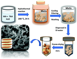 Graphical abstract: Freeze-dried MoS2 sponge electrodes for enhanced electrochemical energy storage