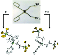 Graphical abstract: Fluoride complexation by bidentate silicon Lewis acids