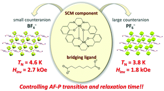 Graphical abstract: Slow relaxation of the magnetization observed in an antiferromagnetically ordered phase for SCM-based two-dimensional layered compounds