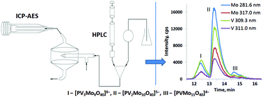 Graphical abstract: Hyphenated techniques in speciation analysis of polyoxometalates: identification of individual [PMo12−xVxO40]−3−x (x = 1–3) in the reaction mixtures by high performance liquid chromatography and atomic emission spectrometry with inductively coupled plasma