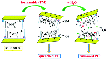 Graphical abstract: A unique delaminated MoS4/OS-LEuH composite exhibiting turn-on luminescence sensing for detection of water in formamide