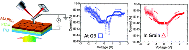 Graphical abstract: Grain boundary dominated ion migration in polycrystalline organic–inorganic halide perovskite films