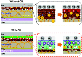 Graphical abstract: Achieving long-term stable perovskite solar cells via ion neutralization
