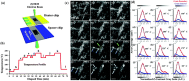 Graphical abstract: In situ investigation of the formation and metastability of formamidinium lead tri-iodide perovskite solar cells