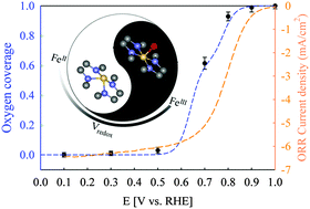 Graphical abstract: Structural and mechanistic basis for the high activity of Fe–N–C catalysts toward oxygen reduction