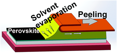 Graphical abstract: Soft-cover deposition of scaling-up uniform perovskite thin films for high cost-performance solar cells