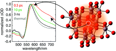 Graphical abstract: Electronic and nuclear contributions to time-resolved optical and X-ray absorption spectra of hematite and insights into photoelectrochemical performance