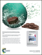 Graphical abstract: Back cover