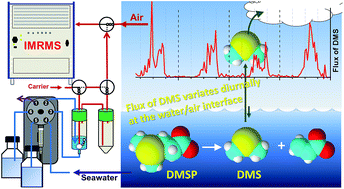 Graphical abstract: Monitoring variations of dimethyl sulfide and dimethylsulfoniopropionate in seawater and the atmosphere based on sequential vapor generation and ion molecule reaction mass spectrometry