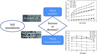 Graphical abstract: Comparison of heavy metal immobilization in contaminated soils amended with peat moss and peat moss-derived biochar