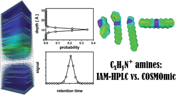 Graphical abstract: Phospholipophilicity of CxHyN+ amines: chromatographic descriptors and molecular simulations for understanding partitioning into membranes