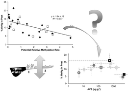 Graphical abstract: Methylmercury production in a chronically sulfate-impacted sub-boreal wetland