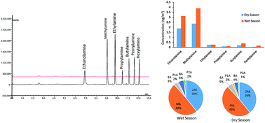 Graphical abstract: Quantitative analysis of aliphatic amines in urban aerosols based on online derivatization and high performance liquid chromatography