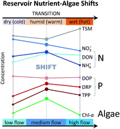 Graphical abstract: Ammonium and phosphate enrichment across the dry–wet transition and their ecological relevance in a subtropical reservoir, China