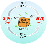 Graphical abstract: Sulfate formation catalyzed by coal fly ash, mineral dust and iron(iii) oxide: variable influence of temperature and light