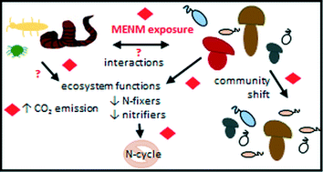 Graphical abstract: Impacts of metal-based engineered nanomaterials on soil communities