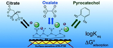 Graphical abstract: Spectral characterization and surface complexation modeling of low molecular weight organics on hematite nanoparticles: role of electrolytes in the binding mechanism