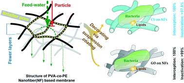 Graphical abstract: Concurrent filtration and inactivation of bacteria using poly(vinyl alcohol-co-ethylene) nanofibrous membrane facilely modified using chitosan and graphene oxide