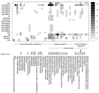 Graphical abstract: A critical analysis of the environmental dossiers from the OECD sponsorship programme for the testing of manufactured nanomaterials