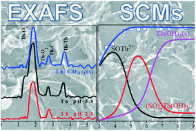 Graphical abstract: Retracted Article: Mechanistic insights into the decontamination of Th(iv) on graphene oxide-based composites by EXAFS and modeling techniques