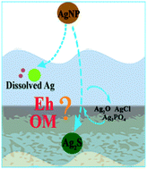 Graphical abstract: The transformation and fate of silver nanoparticles in paddy soil: effects of soil organic matter and redox conditions