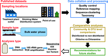 Graphical abstract: Emerging investigators series: microbial communities in full-scale drinking water distribution systems – a meta-analysis