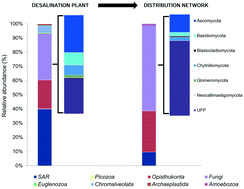 Graphical abstract: Eukaryotic community diversity and spatial variation during drinking water production (by seawater desalination) and distribution in a full-scale network