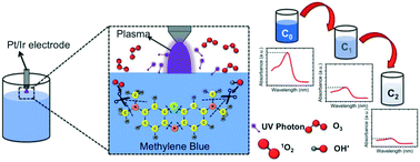 Graphical abstract: The role of chloride ions in plasma-activated water treatment processes