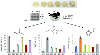 Graphical abstract: An investigation of process contaminants’ formation during the deep frying of breadcrumbs using a bread coat model