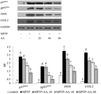 Graphical abstract: Asiatic acid attenuated apoptotic and inflammatory stress in the striatum of MPTP-treated mice