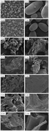 Graphical abstract: Molecular disassembly of rice and lotus starches during thermal processing and its effect on starch digestibility