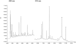 Graphical abstract: Grape skin phenolics as inhibitors of mammalian α-glucosidase and α-amylase – effect of food matrix and processing on efficacy