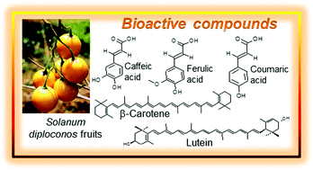 Graphical abstract: Solanum diploconos fruits: profile of bioactive compounds and in vitro antioxidant capacity of different parts of the fruit