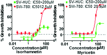 Graphical abstract: Metabolism and growth inhibitory activity of cranberry derived flavonoids in bladder cancer cells