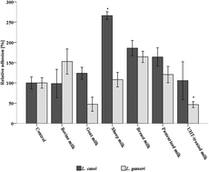 Graphical abstract: Milk digesta and milk protein fractions influence the adherence of Lactobacillus gasseri R and Lactobacillus casei FMP to human cultured cells