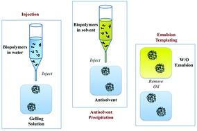 Graphical abstract: Structural design approaches for creating fat droplet and starch granule mimetics