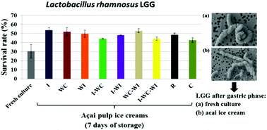 Graphical abstract: Synbiotic Amazonian palm berry (açai, Euterpe oleracea Mart.) ice cream improved Lactobacillus rhamnosus GG survival to simulated gastrointestinal stress