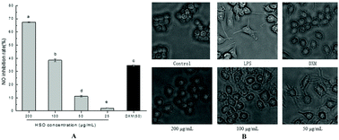 Graphical abstract: Anti-inflammatory activities of essential oil isolated from the calyx of Hibiscus sabdariffa L.