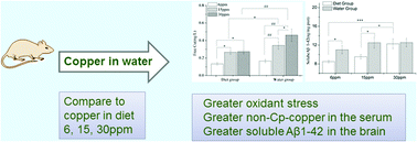 Graphical abstract: The effect of copper from water and food: changes of serum nonceruloplasmin copper and brain's amyloid-beta in mice