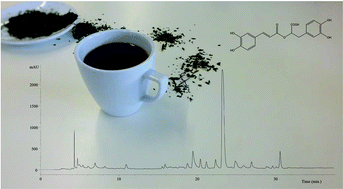 Graphical abstract: Mentha spicata L. infusions as sources of antioxidant phenolic compounds: emerging reserve lots with special harvest requirements