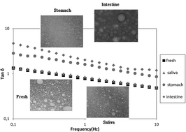 Graphical abstract: In vitro digestibility of highly concentrated methylcellulose O/W emulsions: rheological and structural changes