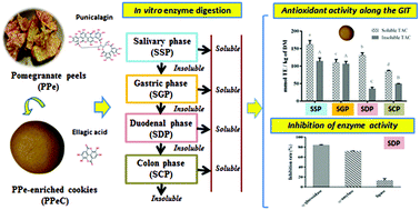 Graphical abstract: In vitro bioaccessibility and functional properties of polyphenols from pomegranate peels and pomegranate peels-enriched cookies