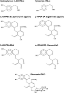 Graphical abstract: Anti-cancer properties of olive oil secoiridoid phenols: a systematic review of in vivo studies